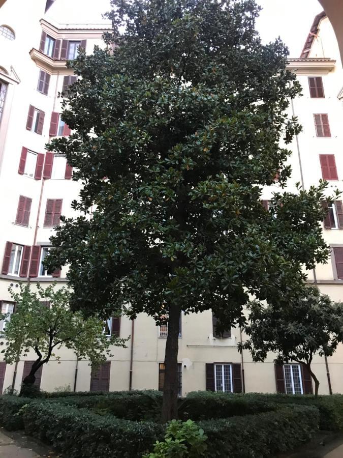 Ludovica's Luxury Apartment